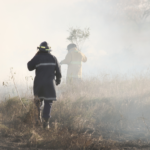 Bushfire Ravages 93,000 Hectares in Tasmania’s West Coast