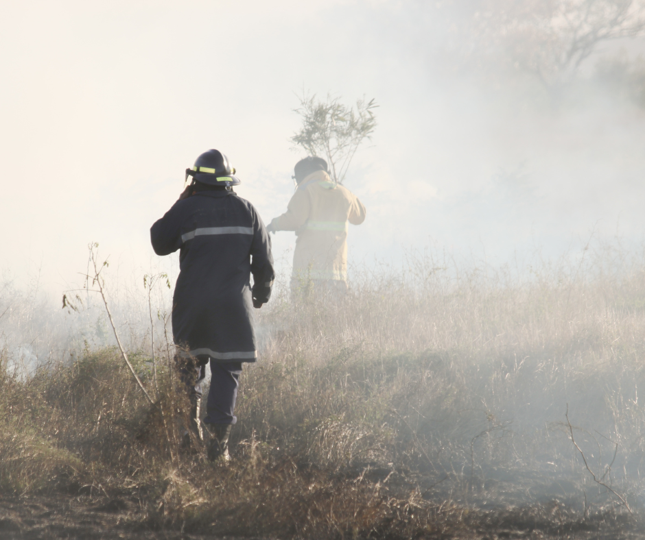 Bush fires